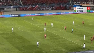 1715954843152089659.gif 塞鸟.gif